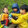 陳亮樺