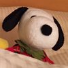 SnooP