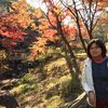 何麗琴