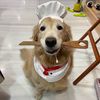 Anita's Kitchen