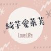 安綺小姐