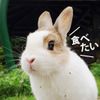 Artway 簡單生活