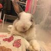 閒來無事的軍人太太家常料理