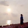 李燕秋