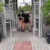 草莓媽