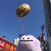 小小狗毛