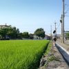 李 岱倫