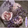 林安安