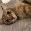 珊珊