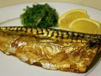 香烤挪威鹽漬鯖魚