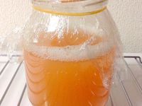 天然草莓酵母製作