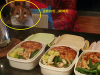 胖子的夏日健康雞肉漢堡排