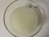 梅子酵母液、元種及老麵製作
