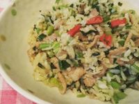 自家製雪裡紅肉絲炒飯