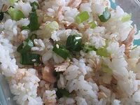 電鍋蒸菜~帶便當 鮭魚飯