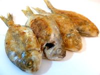 豆香煎肉魚