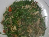 雞絲炒水蓮【桂丁土雞創意吃】