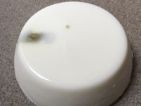 檸檬奶酪