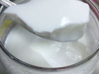 【副食品】克菲爾優格(11m)