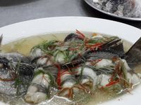 三絲魚捲