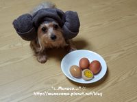 韓式汗蒸幕烤蛋구운계란