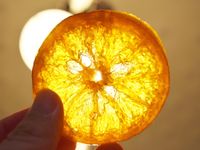 蜜漬橙片(八天版)