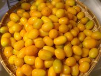 蜜金棗