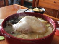 燉雞湯