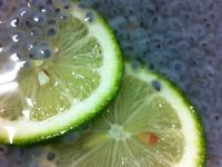 凱莉貓~幸福甜點~檸檬山粉圓三分鐘就完成