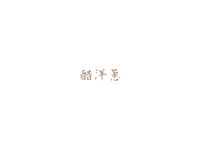 日本減肥熱潮：醋洋蔥