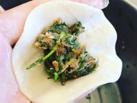 茴香菜水餃