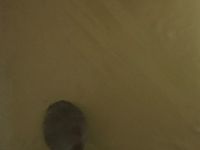 香草冰淇淋