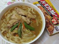 咖哩雞腿烏龍湯麵 佛蒙特咖哩
