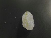 柚香軟糖