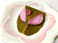 櫻餅《道明寺》🌸🌸