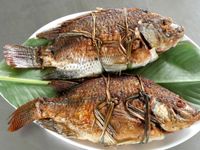 滇緬「荷包魚」