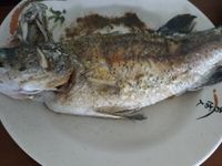 香煎午仔魚