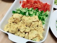 健康蔬食沙威瑪