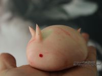 小兔子包子