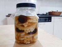 梅漬苦瓜