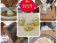 [寵物點心-小兔子高麗菜捲]