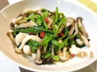 【健康美味】菠菜炒蕈菇(素食可)