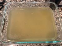 蔥雞骨高湯