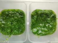 副食品-A菜泥