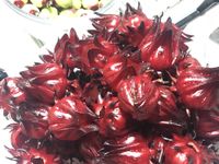 洛神花蜜餞