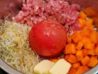 一顆蕃茄飯