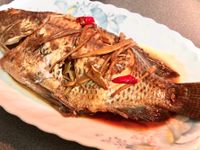 紅燒吳郭魚