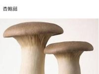 香草烤杏鮑菇