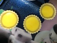 簡易蛋塔