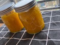 自製芒果果醬